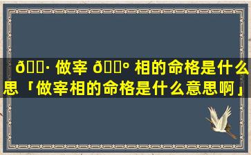 🌷 做宰 🌺 相的命格是什么意思「做宰相的命格是什么意思啊」